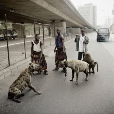 Abudžos hienų tramdytojai, Lagosas, Nigerija
