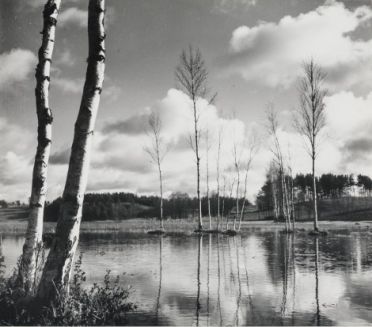 Pavasario debesys (Molėtų ežerai)